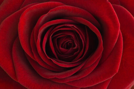 Finding the True Meaning of Love Image